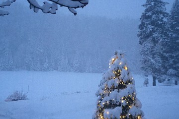 Snow and ski sports