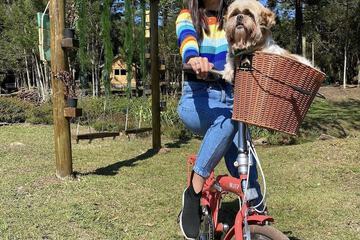 Pet-friendly amenities