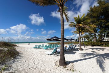 Cedar Cove Resort and Cottages