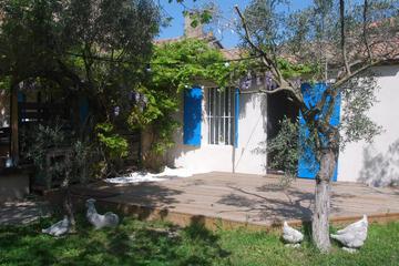 Photo 40