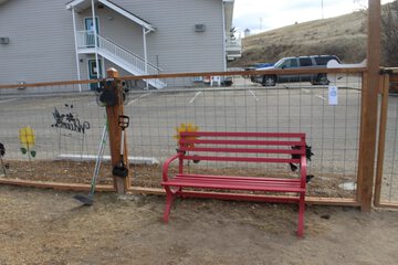 Pet-friendly amenities