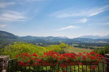 Mountain view