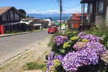 Photo 5