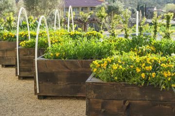 Hotel View 128 of 143