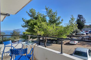 Park view