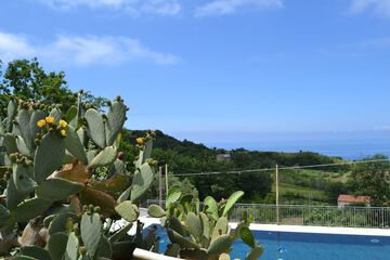 Rooftop pool