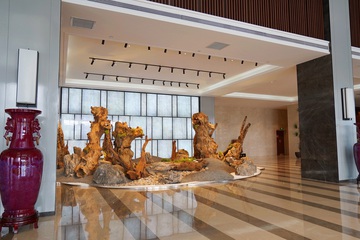 Hotel Interior or Public Areas