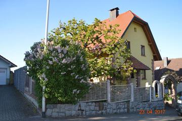 Photo 32