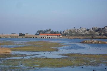 Photo 38