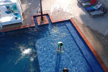 Photo 50