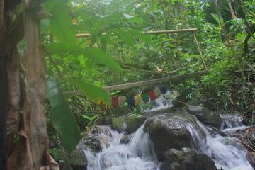 Photo 27