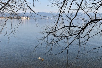 Lake
