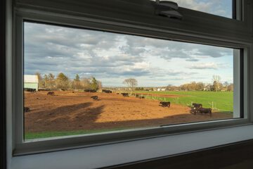 View from room
