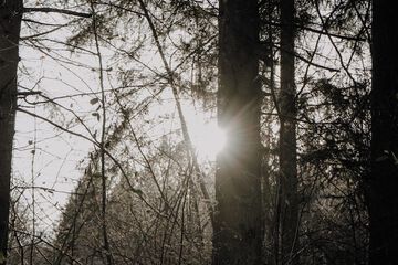 Hiking