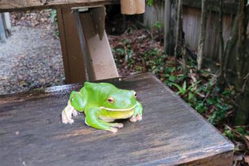 Photo 19
