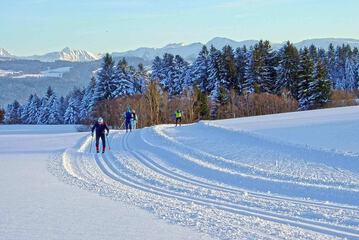 Snow and ski sports