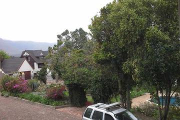 Photo 62