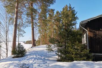 Photo 47