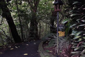Hiking