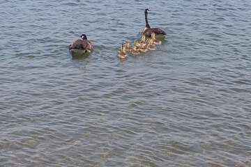 Lake
