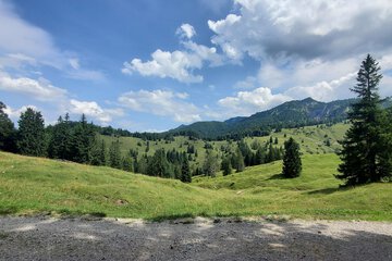 Hiking