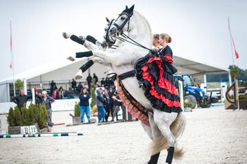 Horseback riding