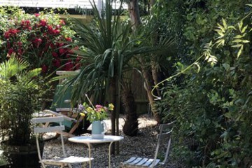 Terrace or Patio
