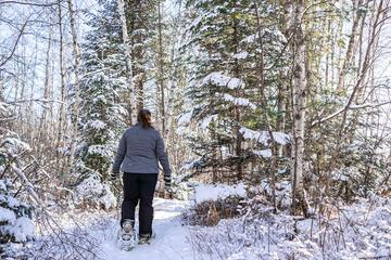 Snowshoeing