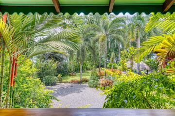 Garden view