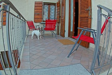 Pet-friendly