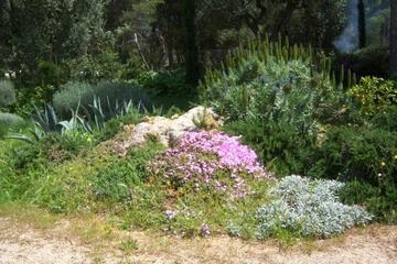 Photo 46