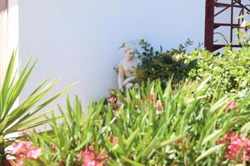 Photo 49
