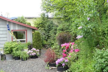 Photo 36