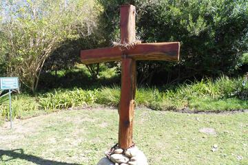 Photo 31