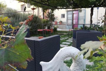 Photo 41