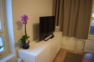 Television