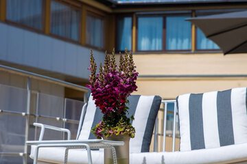 Sundeck