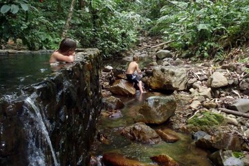 Natural pool