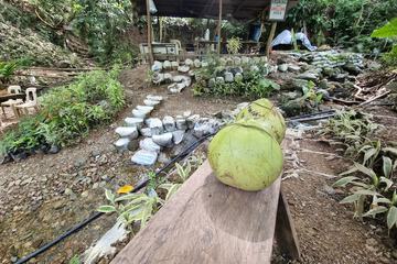 BBQ/picnic area
