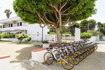 Bicycling
