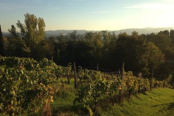 Land view from property