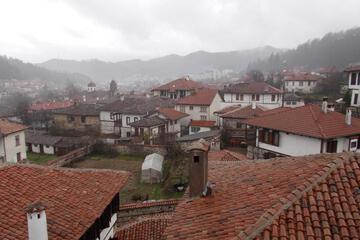 Photo 43