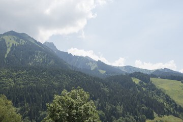 Mountain view
