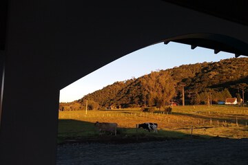 Mountain view
