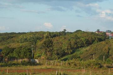 Photo 49