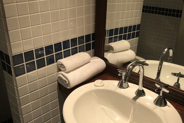 Bathroom sink