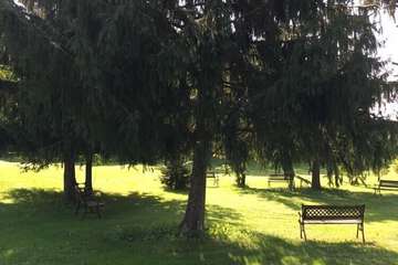 Park view