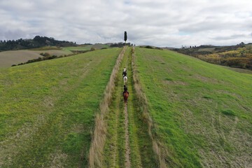 Horseback riding