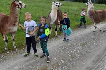 Children's activities