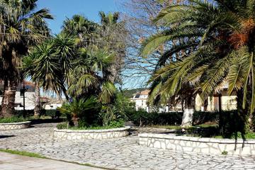 Photo 29